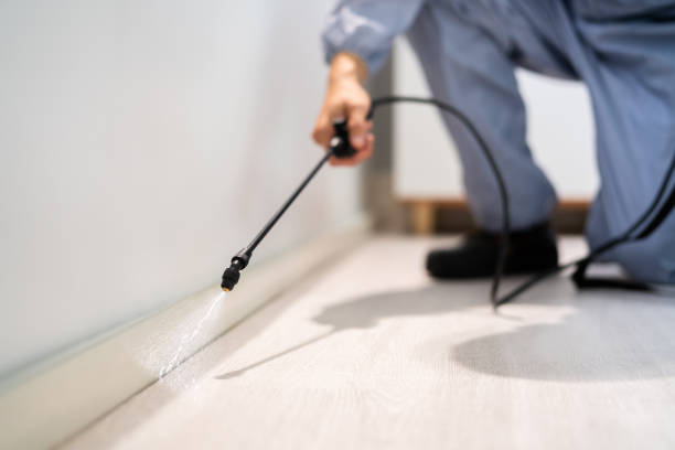 Licensed Termite Control service in Forsyth, IL - Nex Pest Control
