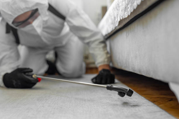 Professional Termite Control technician working in Forsyth, IL