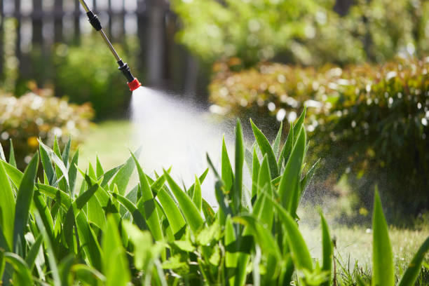24/7 Emergency Termite Control experts in Forsyth, IL
