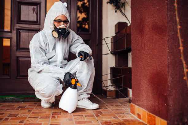 Reliable Termite Control contractor in Forsyth, IL by Nex Pest Control