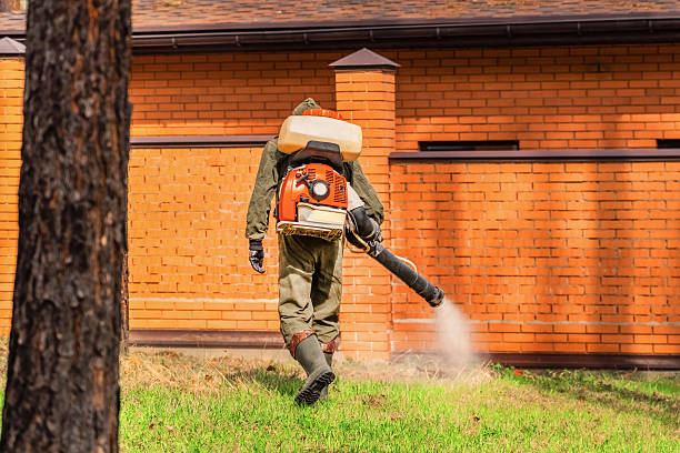 Top rated local Termite Control specialists in Forsyth, IL